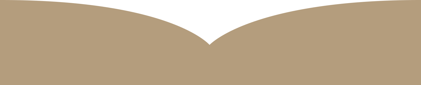 ao dai collar shape footer