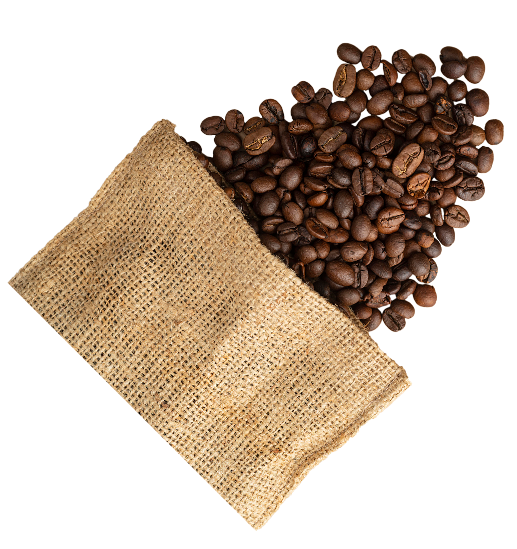 Coffee Bean Coming Out of a bag