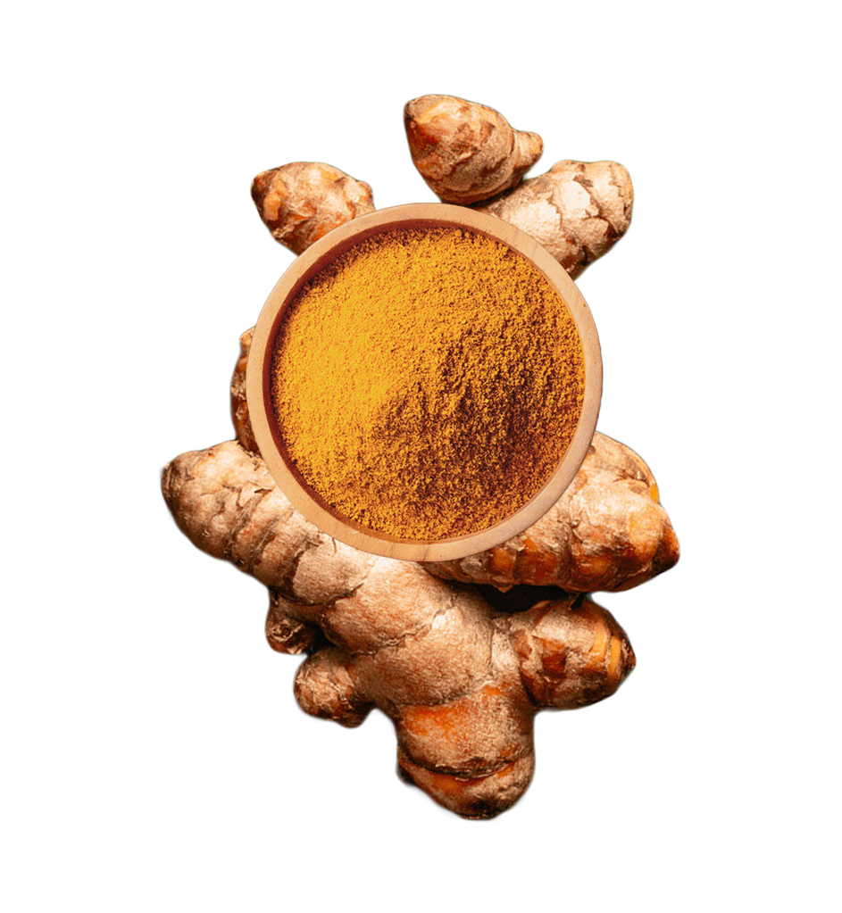 Turmeric with Turmeric powder