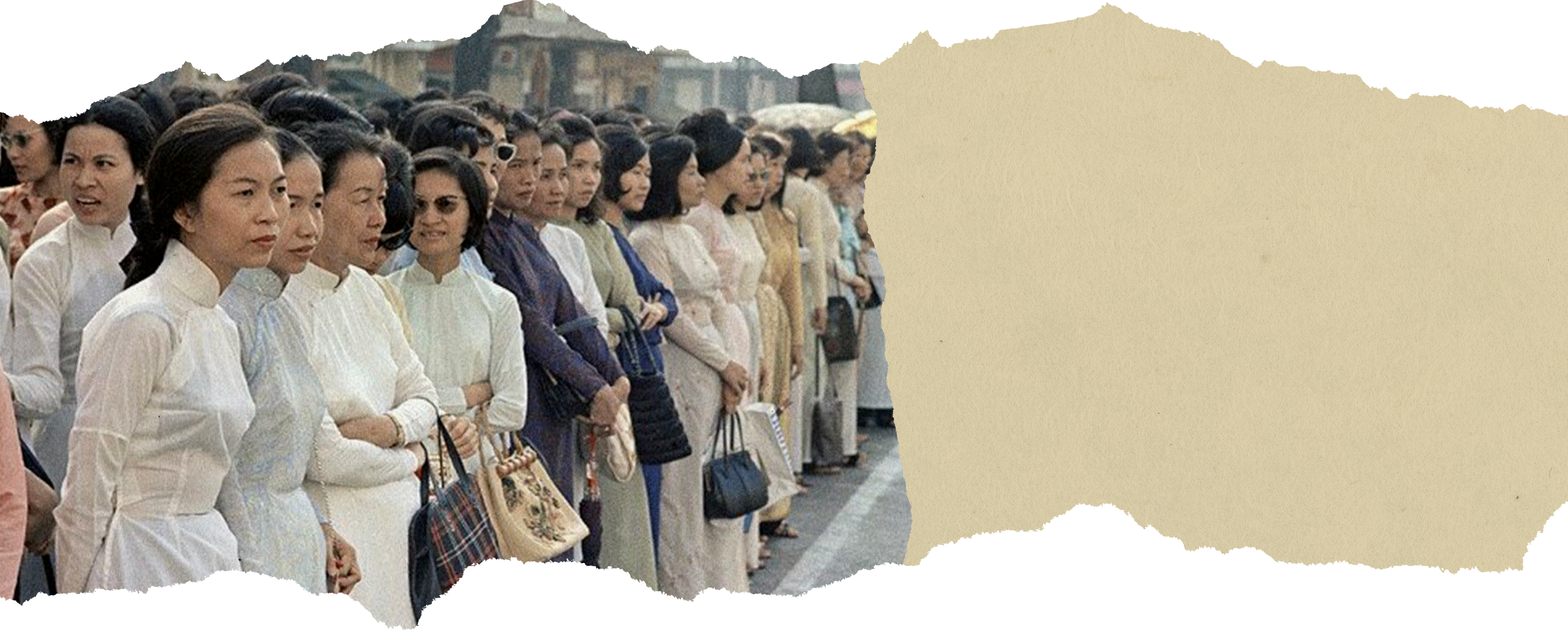 introduction section