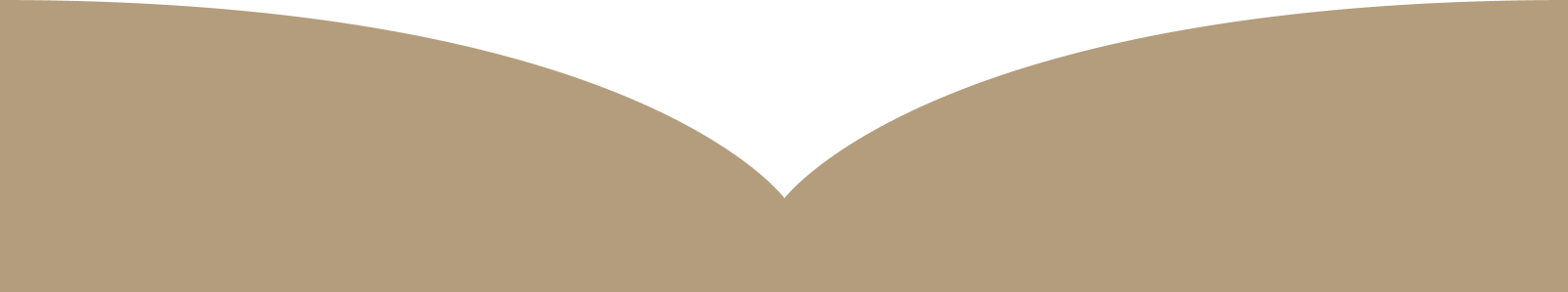 ao dai collar shape footer