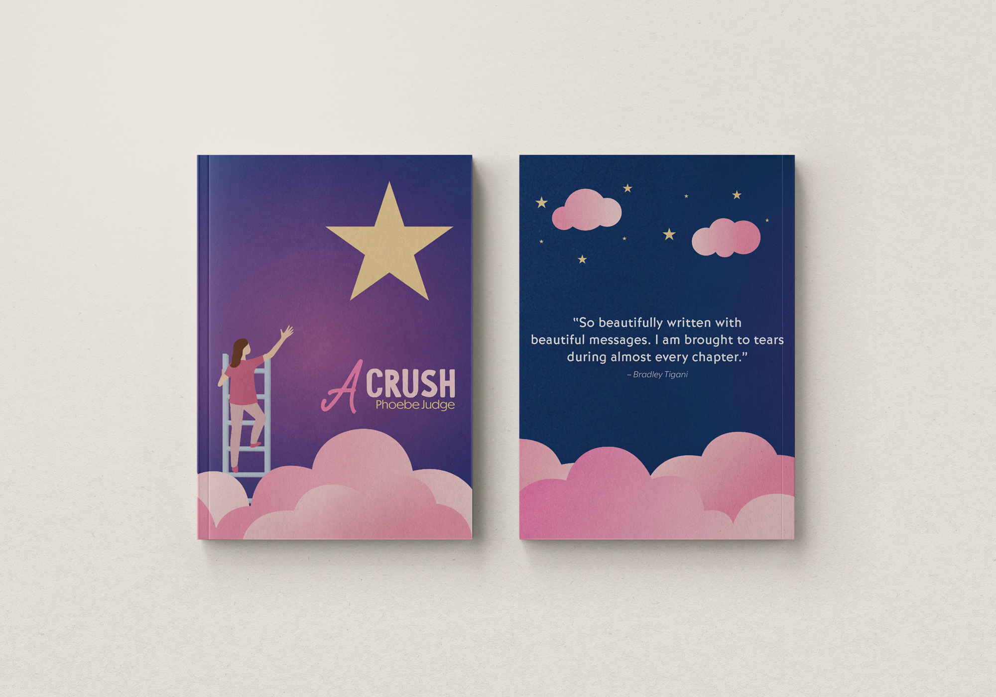 a crush book cover