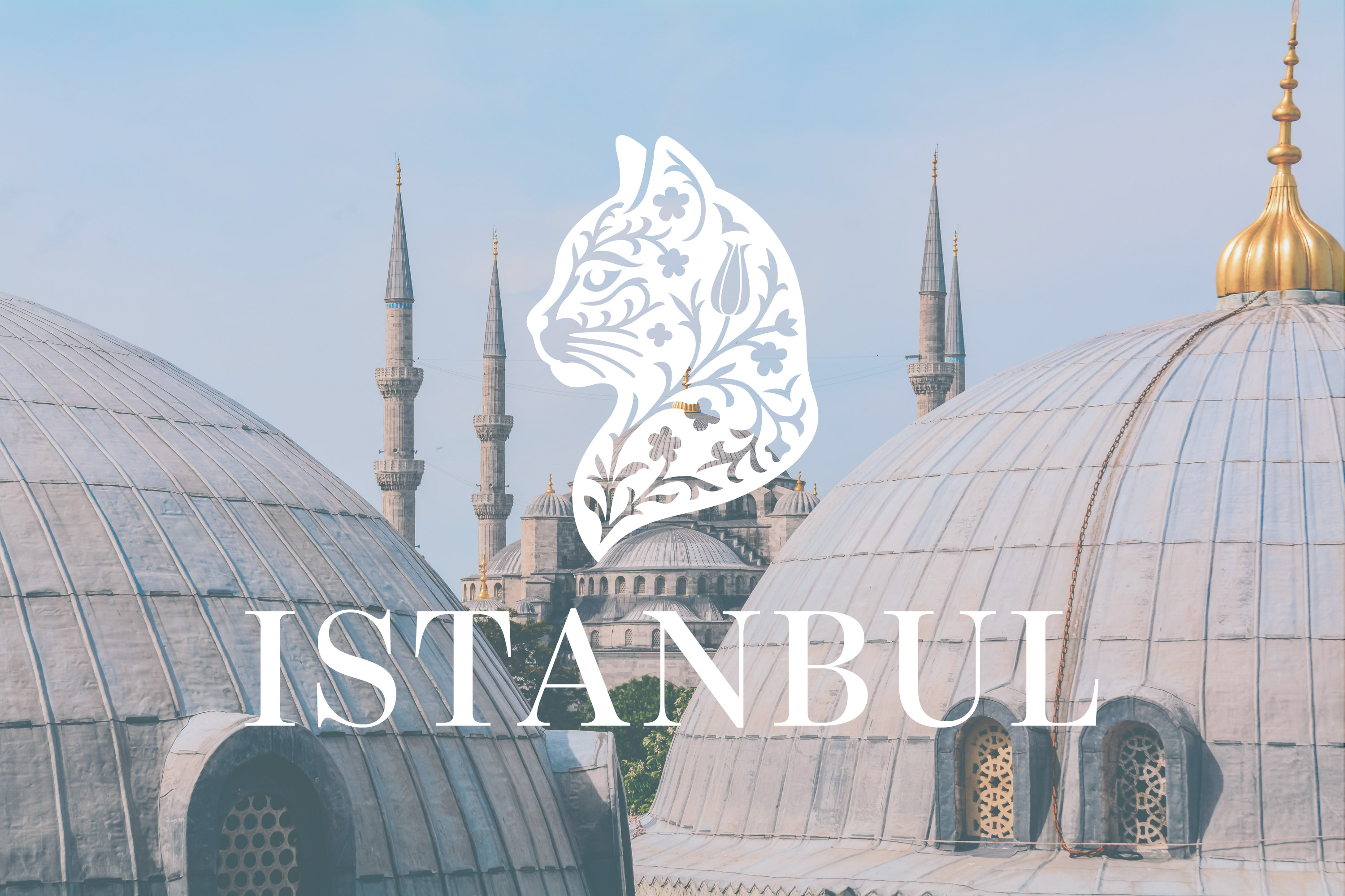 An Istanbul city logo on an image of Istanbul city